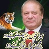 pmln113