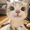 lucciiferroo