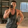 Tuệ Phạm
