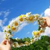 user22224005