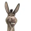 donkey_chops