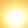 sunshine338