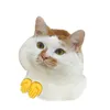 hasuy.dinhduong