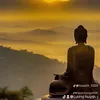 tuankhangkich