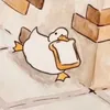 ravieli0