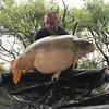 flavien606
