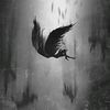 fallen14ngel