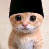 asyrafnaufal87