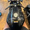 dalton.black04