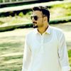 hameedshams