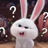 hani_2410