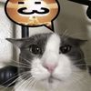 banihanispecial