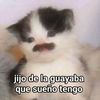 gabyawa3