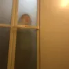 dai5.5.5