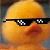 pslcopato