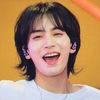17pledis