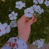 user00985505
