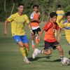 adaminho770