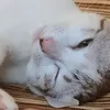 touuu_touuu