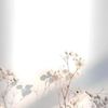 im_yours072