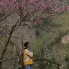 nguyenhuutai_2512