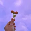 akuinisial.h