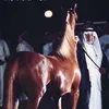 aljufair