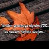 boncuk7800