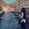 user081120024