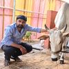 sateesh2018