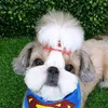 boogiethecutie