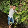 lecuonghk