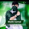 maliksahab7432