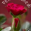user_67563865