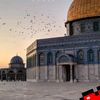 palestinefree19