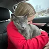 sophie.is.awesome123