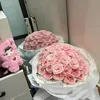biivananh