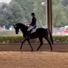 mariekedressage