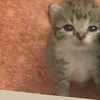 mikko._._._