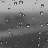 titsuiano3