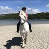 equestrian_iona