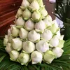 darasour2