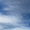 spotty_12