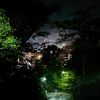 nori_rain