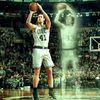 kellyolynyk41