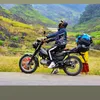 theloi251197