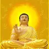 thuycham98