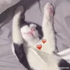 catdangyeu2503