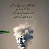 shahzadhashmi428