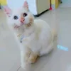 kurus_01